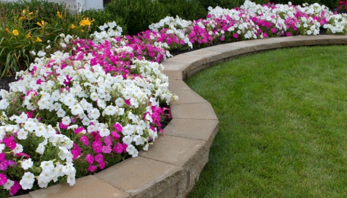 baltimore-property-managed-house-landscaping